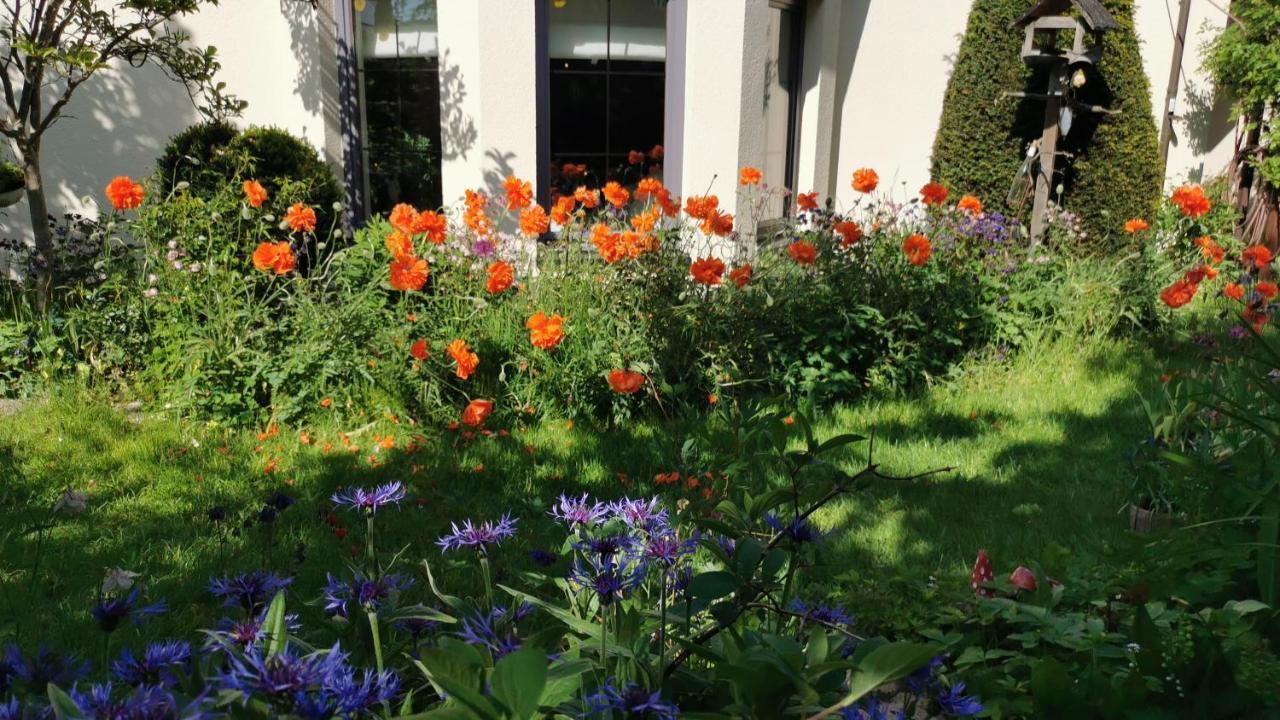 Gartenwohnung Paulsdorf Диппольдисвальде Экстерьер фото